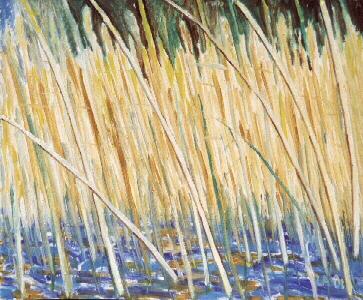 H &Ouml;l 50 x 60 cm